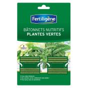 Bâtonnet nutritif plante verte lot de 40