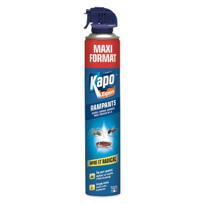 Insectes Rampants aérosol maxi format 500ml Kapo Expert