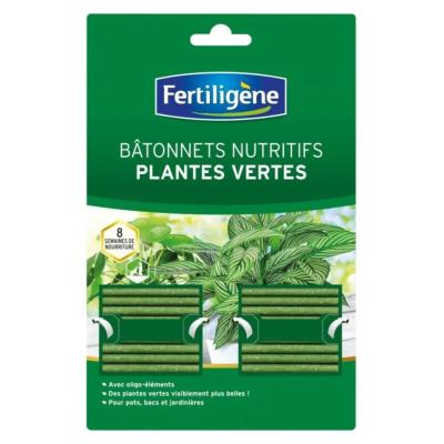 Bâtonnet nutritif plante verte lot de 40