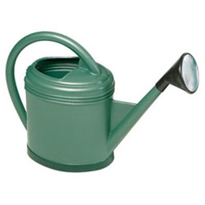 ARROSOIR FORT 12L VERT METAL