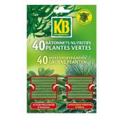 Bâtonnet nutritif plante verte lot de 40