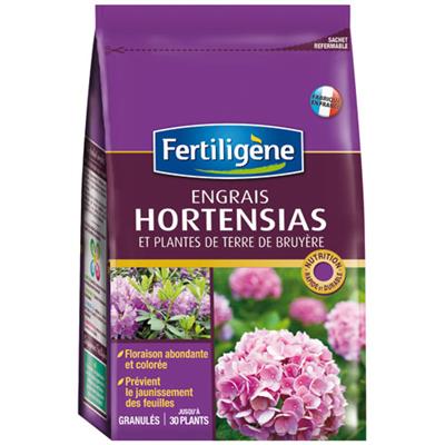 Engrais hortensias et plantes de terre de bruyère granules 800gr