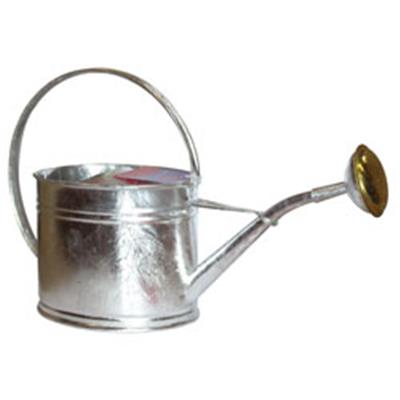 ARROSOIR OVAL 1L75 METAL + POMME