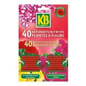 Bâtonnet nutritif plante à fleurs lot de 40